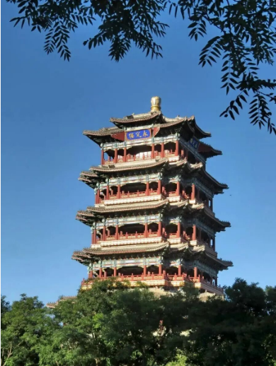 ���Բ���֮�����ػ���ͳ֮�⡿���ܶȻҹ�����������������¥��Ŀ